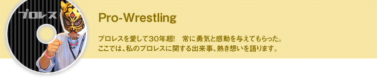 Pro-Wrestling プロレス